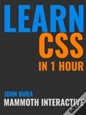 Capa do artigo Learn Css In 1 Hour