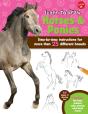 Learn To Draw Horses & Ponies - Preview