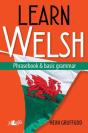 Learn Welsh - Phrasebook And Basic Grammar - Preview
