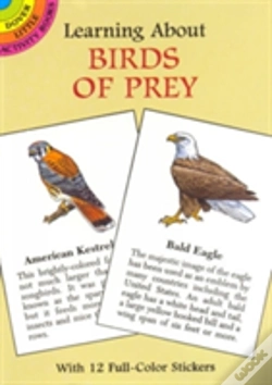 Capa do artigo Learning About Birds Of Prey