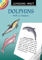 Learning About Dolphins