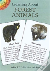 Capa do artigo Learning About Forest Animals