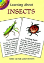 Learning About Insects - Preview