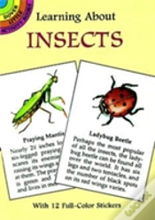 Capa do artigo Learning About Insects