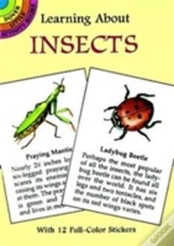 Capa do artigo Learning About Insects