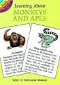 Learning About Monkeys And Apes - Preview