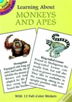 Capa do artigo Learning About Monkeys And Apes