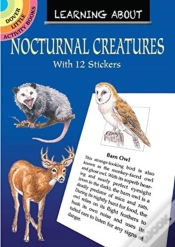 Capa do artigo Learning About Nocturnal Creatures