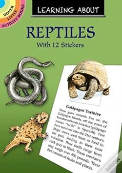 Capa do artigo Learning About Reptiles