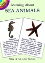 Learning About Sea Animals - Preview