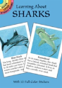 Learning About Sharks - Preview