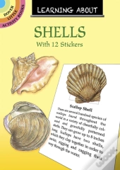 Learning About Shells