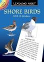 Learning About Shorebirds - Preview