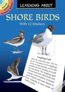 Capa do artigo Learning About Shorebirds