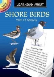 Capa do artigo Learning About Shorebirds