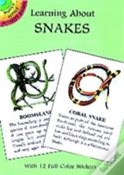 Capa do artigo Learning About Snakes