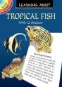 Learning About Tropical Fish - Preview