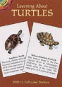 Learning About Turtles - Preview
