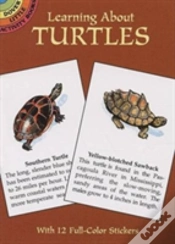Capa do artigo Learning About Turtles