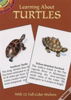 Capa do artigo Learning About Turtles