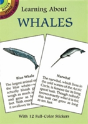Learning About Whales - Preview