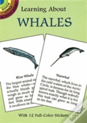 Learning About Whales