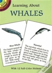 Capa do artigo Learning About Whales