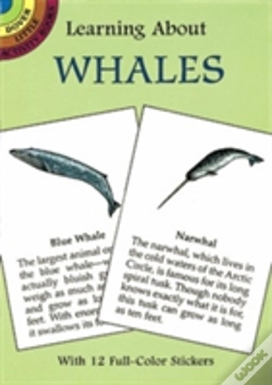 Capa do artigo Learning About Whales
