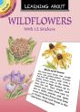 Learning About Wildflowers - Preview