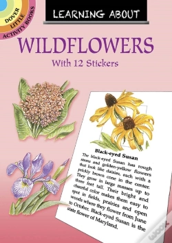 Capa do artigo Learning About Wildflowers