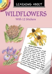 Capa do artigo Learning About Wildflowers