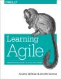 Learning Agile - Preview