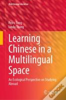Learning Chinese In A Multilingual Space