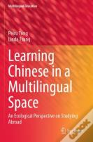 Learning Chinese In A Multilingual Space