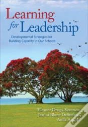 Capa do artigo Learning For Leadership