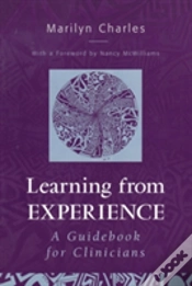 Capa do artigo Learning From Experience