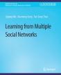 Learning From Multiple Social Networks - Preview
