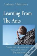 Learning From The Ants