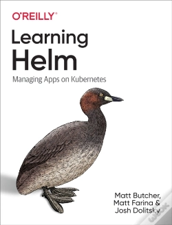 Capa do artigo Learning Helm