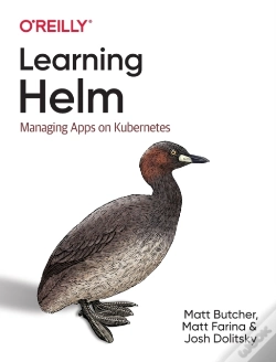 Capa do artigo Learning Helm