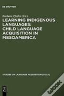 Learning Indigenous Languages: Child Language Acquisition In Mesoamerica