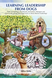 Capa do artigo Learning Leadership From Dogs