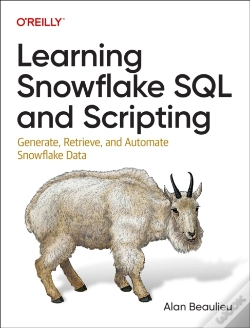 Capa do artigo Learning Snowflake Sql And Scripting
