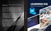 Capa do artigo Learning Sql