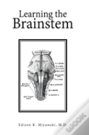 Learning The Brainstem
