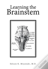 Learning The Brainstem