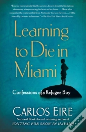 Learning To Die In Miami