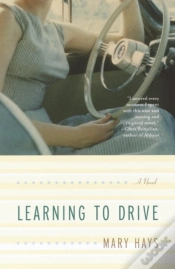 Capa do artigo Learning To Drive