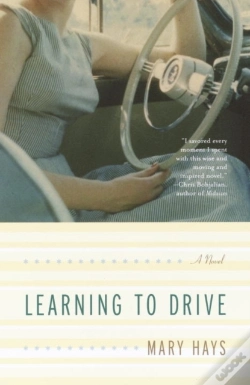 Capa do artigo Learning To Drive