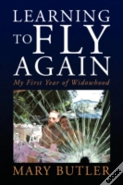 Capa do artigo Learning To Fly Again